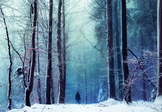 bosque nevado imagenes y arte Robin Halioua