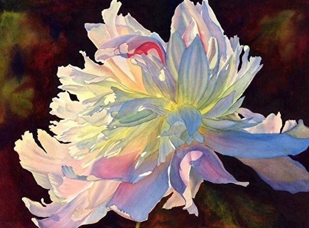 acuarela flor blanca Cathy Hillegas naturaleza y luz imagenes y arte