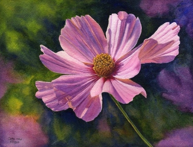 acuarela flor rosa Cathy Hillegas naturaleza y luz imagenes y arte