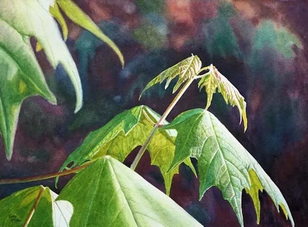acuarela hojas verdes Cathy Hillegas naturaleza y luz imagenes y arte