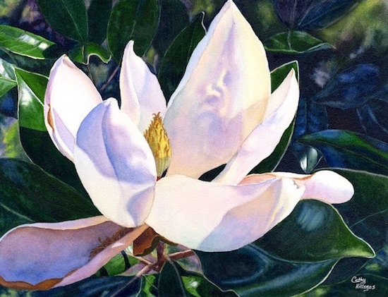 acuarela magnolia blanca Cathy Hillegas naturaleza y luz imagenes y arte