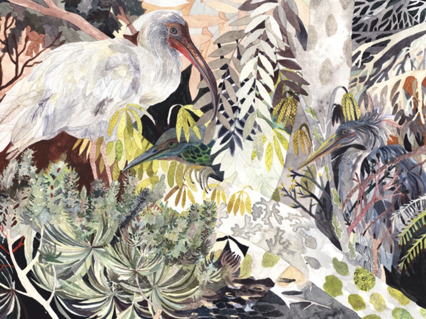 21 Michelle Morin Coloridos pájaros y flores Imágenes y Arte