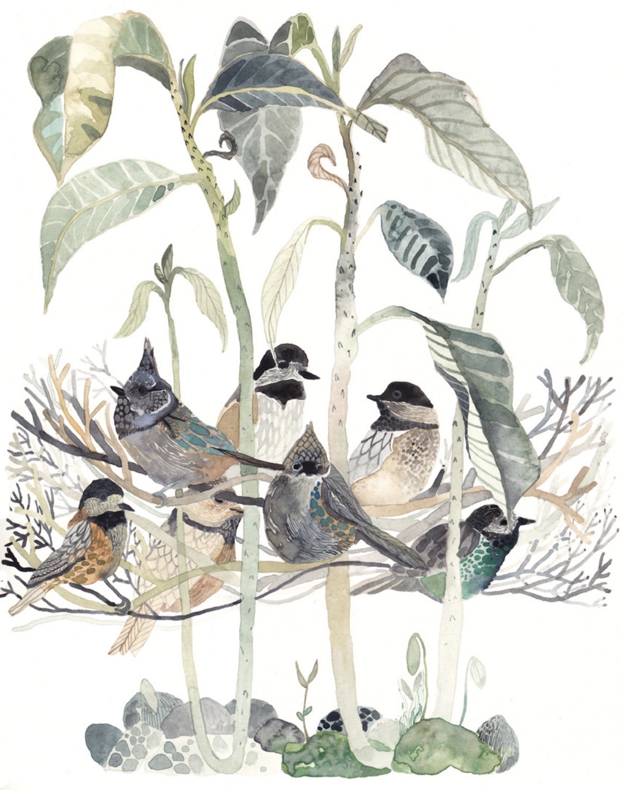 24 Michelle Morin Coloridos pájaros y flores Imágenes y Arte