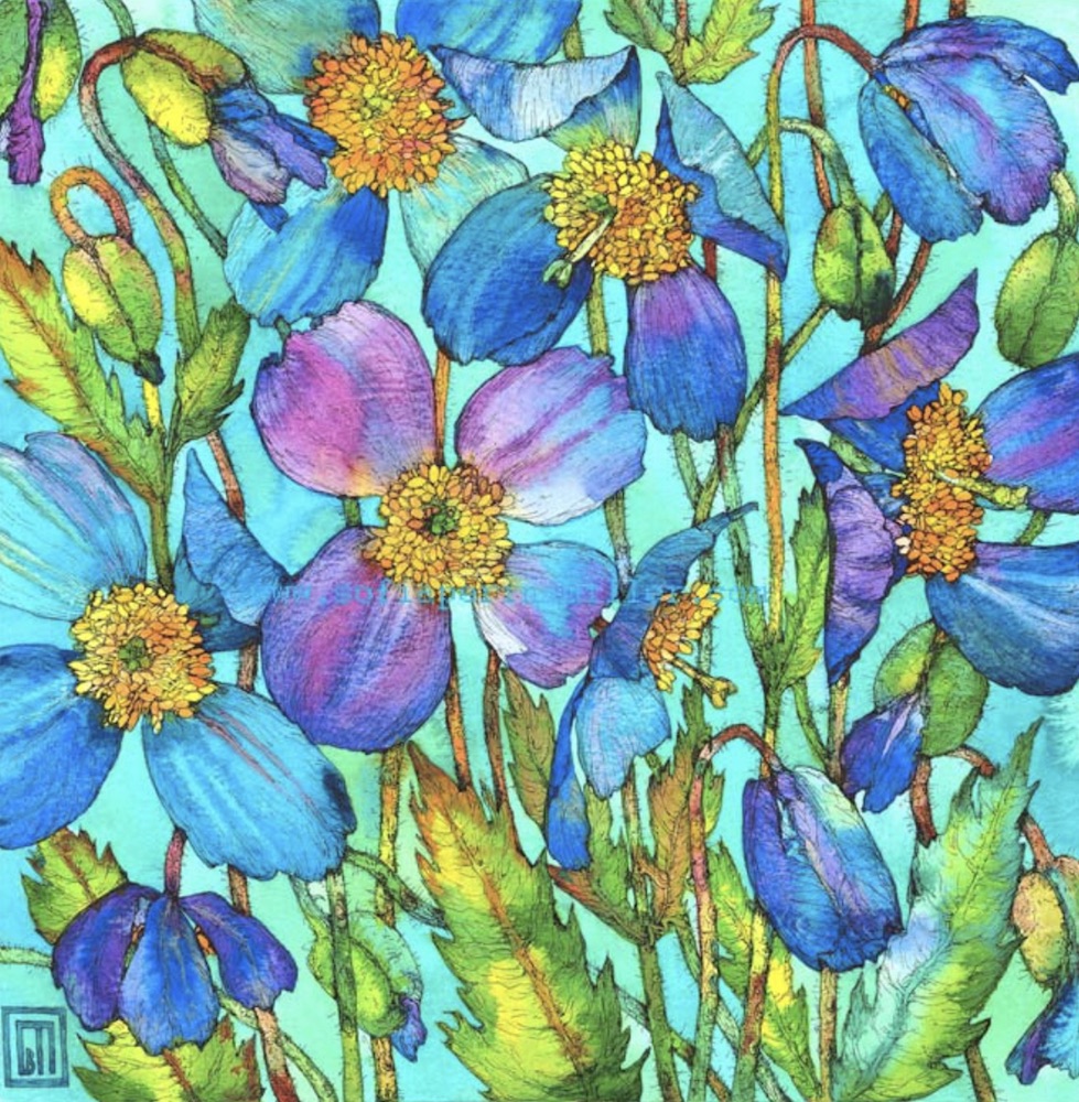 Flores con preciosos colores Sofia Perina Miller 14 Imágenes y Arte