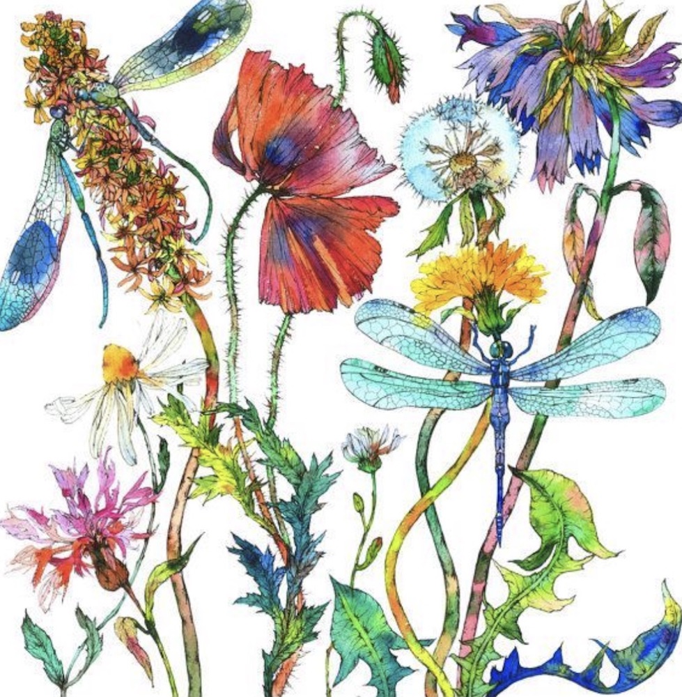 Flores con preciosos colores Sofia Perina Miller 28 Imágenes y Arte