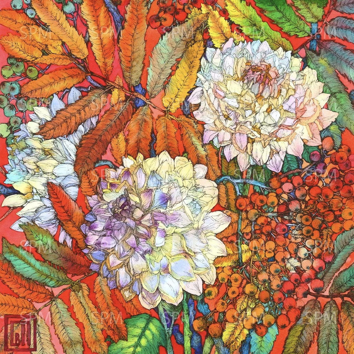 Flores con preciosos colores Sofia Perina Miller 30 Imágenes y Arte