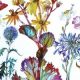 Flores con preciosos colores Sofia Perina Miller portada Imágenes y Arte