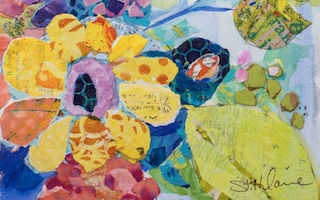 Elizabeth St. Hilaire portada Abundancia de colores Imágenes y Arte