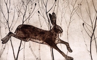 Kerry Buck portada Ilustraciones estampadas Imágenes y Arte