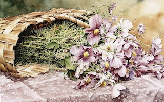 Christian Graniou portada Bañado en luz Imágenes y Arte