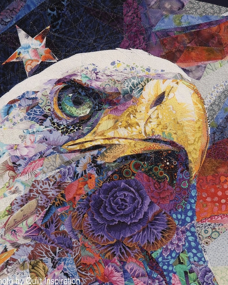 Danny Amazonas 5 Coloridos colages textiles Imágenes y Arte